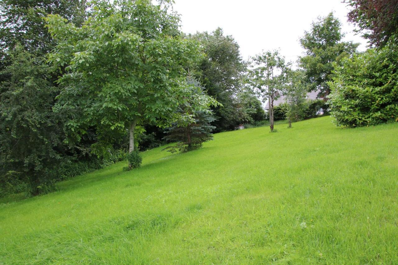 Ferienhaus Eifelnest Scheid  Exterior foto